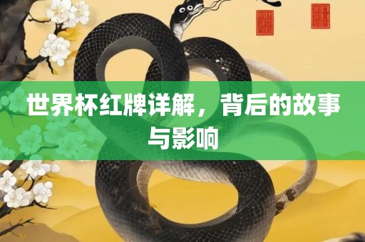 世界杯红牌详解，背后的故事与影响