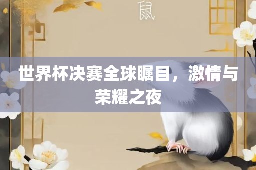 世界杯决赛全球瞩目，激情与荣耀之夜眉山市正发家政服务有限公司