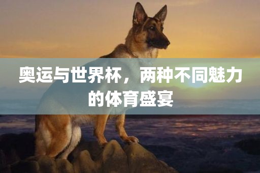 奥运与世界杯，两种不同魅力的体育盛宴眉山市正发家政服务有限公司