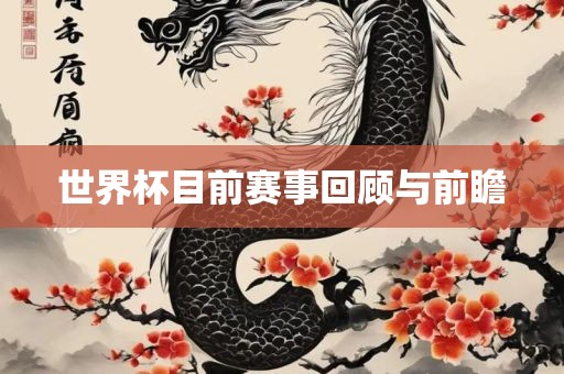 世界杯目前赛事回顾与前瞻眉山市正发家政服务有限公司
