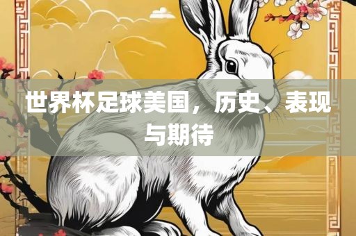 世界杯足球美国，历史、表现与期待