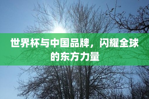 世界杯与中国品牌，闪耀全球的东方力量