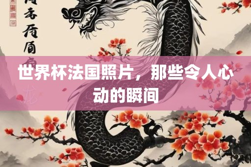 世界杯法国照片，那些令人心动的瞬间