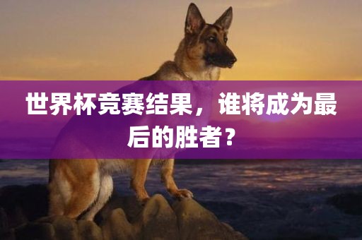世界杯竞赛结果，谁将成为最后的胜者？眉山市正发家政服务有限公司