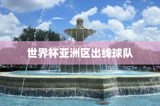 世界杯亚洲区出线球队眉山市正发家政服务有限公司