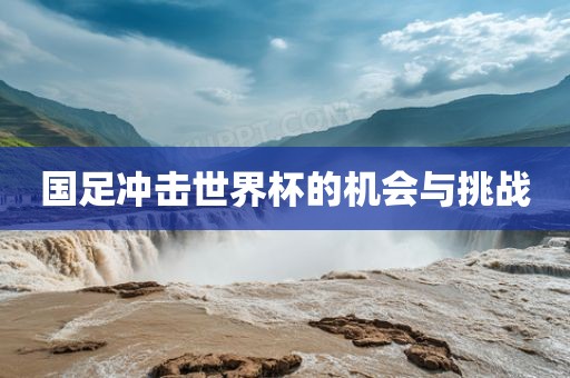 国足冲击世界杯眉山市正发家政服务有限公司的机会与挑战