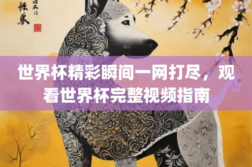 世界杯精彩瞬间一网打尽，观看世界杯完整视频指南