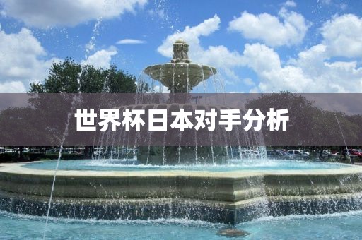 眉山市正发家政服务有限公司世界杯日本对手分析