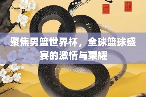 聚焦男篮世界杯，全球篮球盛宴的激情与荣耀眉山市正发家政服务有限公司