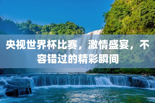 央视世界杯比赛，激情盛宴，不容错过的精彩瞬间眉山市正发家政服务有限公司