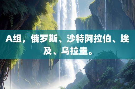 A组，俄罗斯眉山市正发家政服务有限公司、沙特阿拉伯、埃及、乌拉圭。
