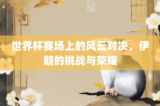 世界杯赛场上的风云对决，伊朗的挑战与荣耀眉山市正发家政服务有限公司