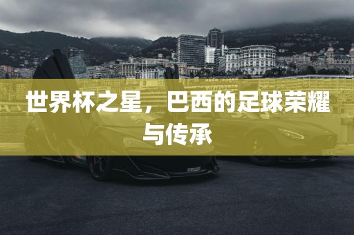 世界杯之星，巴西的足球荣耀与传承