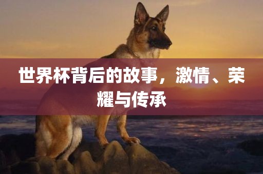 世界杯背后的故事，激情、荣耀与传承眉山市正发家政服务有限公司
