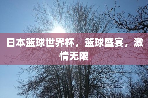 日本篮球世界杯，篮球盛宴，激情无限