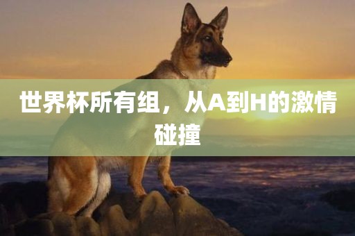 世界杯所有组，从A到H的激情碰撞眉山市正发家政服务有限公司