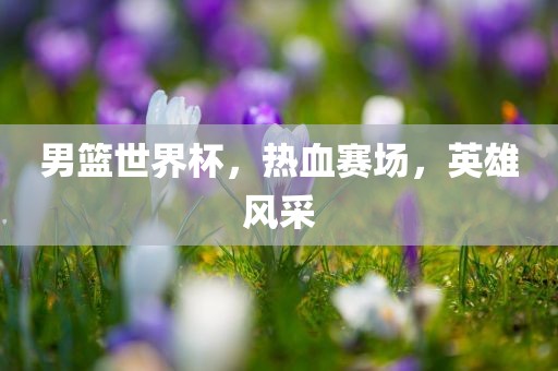 男篮世界杯，热血赛场，英雄风采眉山市正发家政服务有限公司