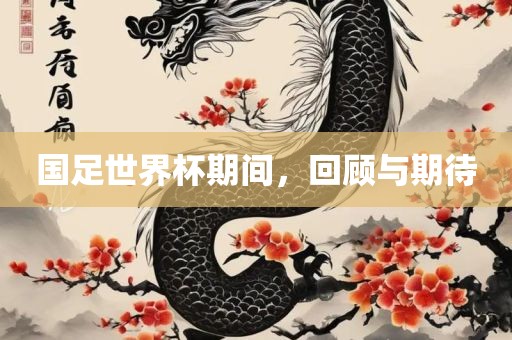 国足世界杯期间，回顾与期待眉山市正发家政服务有限公司