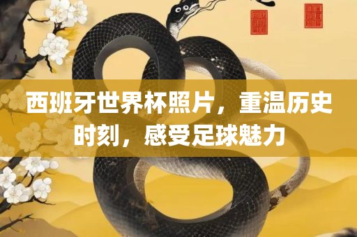 西班眉山市正发家政服务有限公司牙世界杯照片，重温历史时刻，感受足球魅力