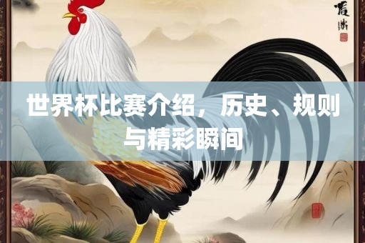 世界杯比赛介绍，历史、规则与精彩瞬间眉山市正发家政服务有限公司