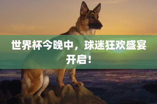 世界杯今晚中，球迷狂欢盛宴眉山市正发家政服务有限公司开启！
