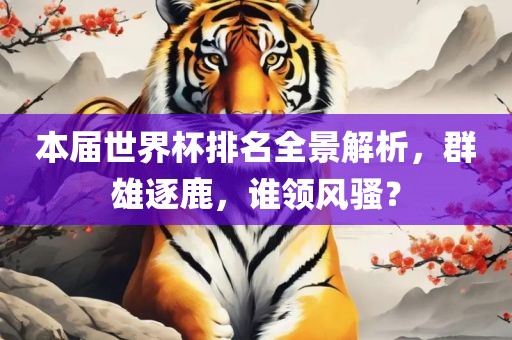 本届世界杯排名全景解析，群雄逐鹿，谁领风骚？