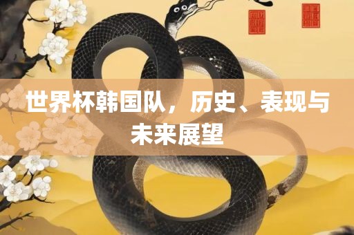 世界杯韩国队，历史、表现与未来展望