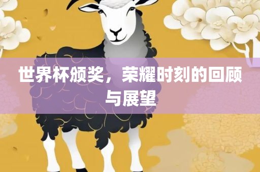世界杯颁奖，荣耀时刻的回顾与展望眉山市正发家政服务有限公司