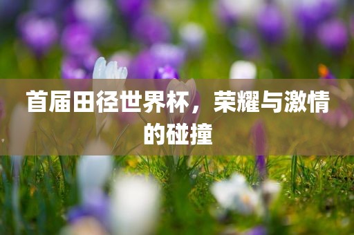 首届田径世界杯，荣耀与激情的碰撞眉山市正发家政服务有限公司