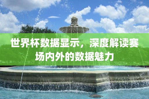 世界杯数据显示，深度解读赛场内外的数据魅力