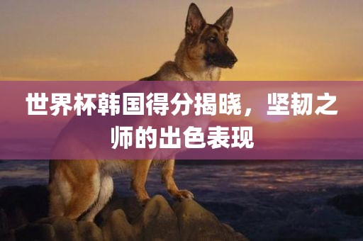 世界杯韩国得分揭晓，坚韧之师的出色表现