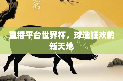 直播平台世界杯，球眉山市正发家政服务有限公司迷狂欢的新天地