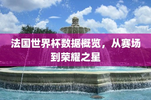 法国世界杯数据概览，从赛场到荣耀之星