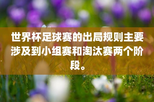 世界杯足球赛的出局规则主要涉及到小组赛和淘汰赛两个阶段。眉山市正发家政服务有限公司
