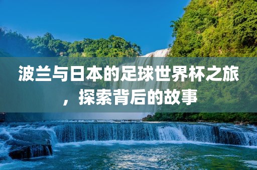 波兰与日本的足球世界杯之旅，探索背后的故事眉山市正发家政服务有限公司