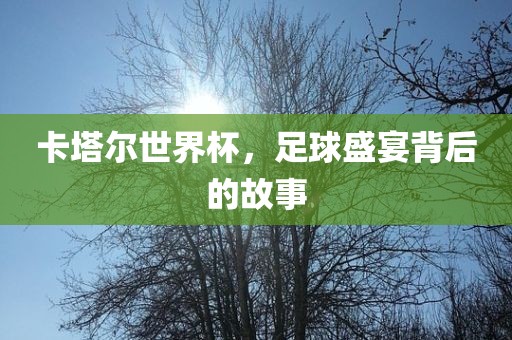 卡塔尔世界杯，足球盛宴背后的故事眉山市正发家政服务有限公司