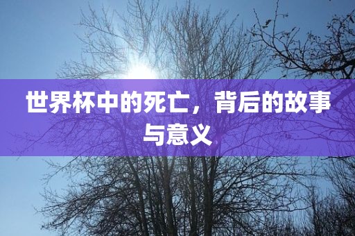 世界杯中的死亡，背后的故事与意义