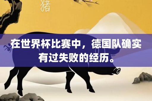 在世界杯比眉山市正发家政服务有限公司赛中，德国队确实有过失败的经历。