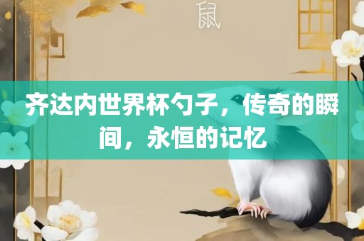 齐达内世界杯勺子，传奇的瞬间，永恒的记忆