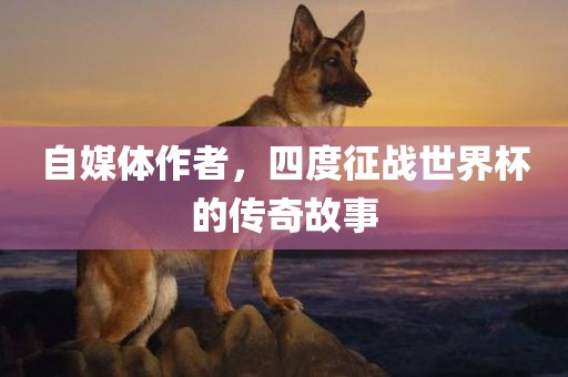 自媒体作者，四度征战世界杯的传奇故事眉山市正发家政服务有限公司