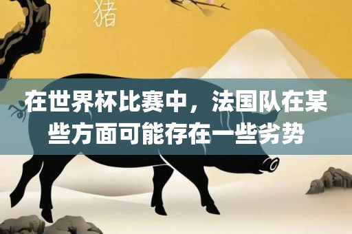 在世界杯比赛中，法国队在某些方面可能存在一些劣势眉山市正发家政服务有限公司