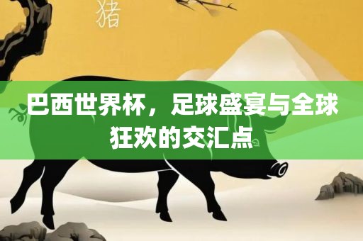 巴西世界杯，足球盛宴与全球狂欢的交汇点眉山市正发家政服务有限公司