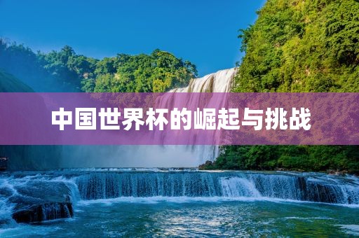 中国世界杯的崛起与挑战眉山市正发家政服务有限公司