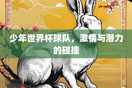 少年世界杯球队，激情与潜力的碰撞眉山市正发家政服务有限公司