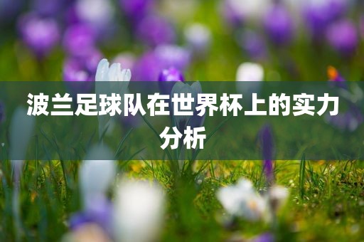 波兰足球队在世眉山市正发家政服务有限公司界杯上的实力分析
