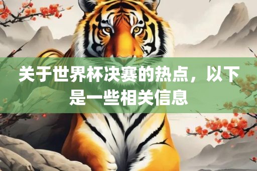 关于世界杯决赛的热点，以下是一些相关信息眉山市正发家政服务有限公司