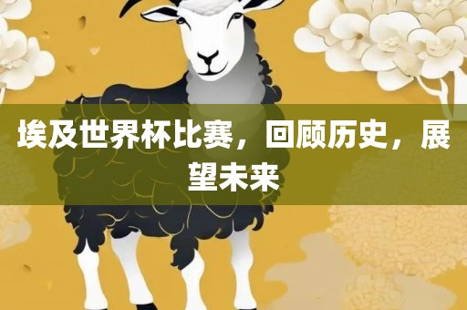 埃及世界杯比赛，回顾历史，展望未来眉山市正发家政服务有限公司