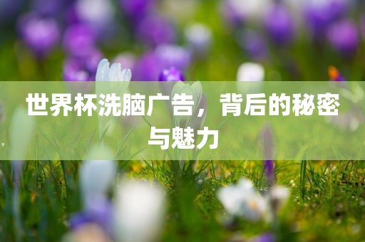 世界杯洗脑广告，背后的秘密与魅力眉山市正发家政服务有限公司