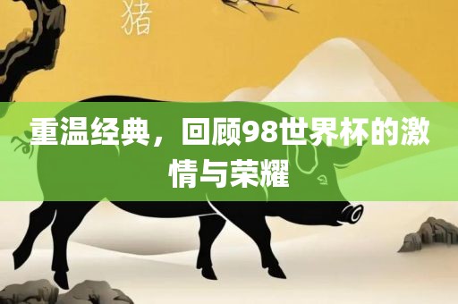 重温经典，回顾98世界杯的激情与荣耀眉山市正发家政服务有限公司
