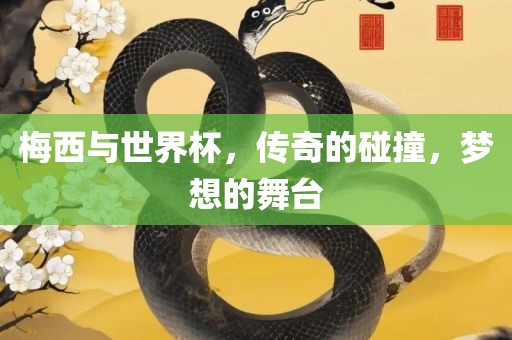 梅西与世界杯，传奇的碰撞，梦想的舞台眉山市正发家政服务有限公司